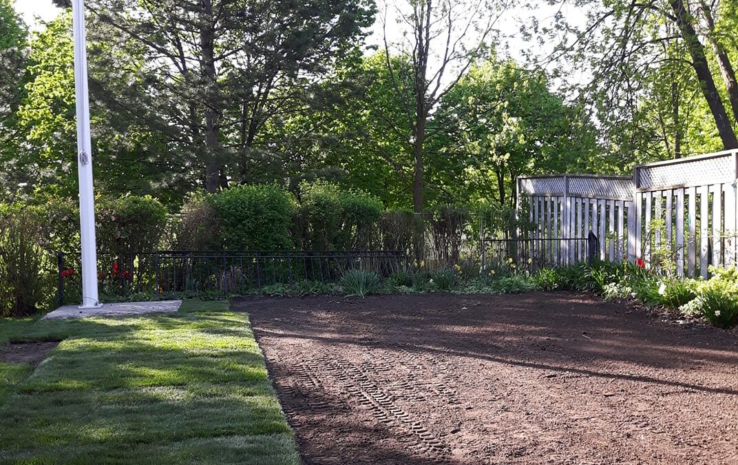 Backyard with expertly filled in pool about to be sodded.